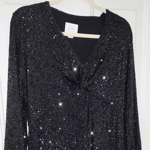 Elegant Black Sequin Dress